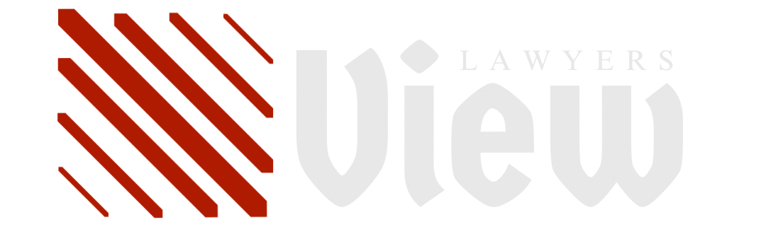 cropped-LAWYERSVIEW-logo.png