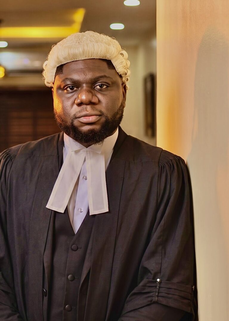 THE NEW WIG SYNDROME: THE SILENT BURDEN OF NEWLY CALLED LAWYERS